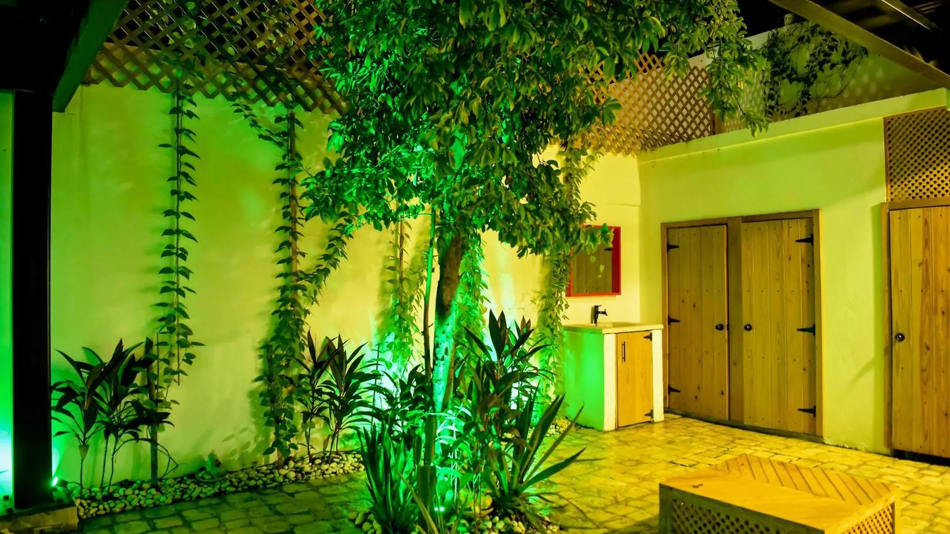 Honky Tonk Colonial Otel Santo Domingo